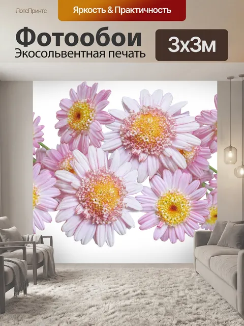 Фотообои Ромашки