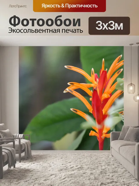 Фотообои Райская птица оранжевый цветок