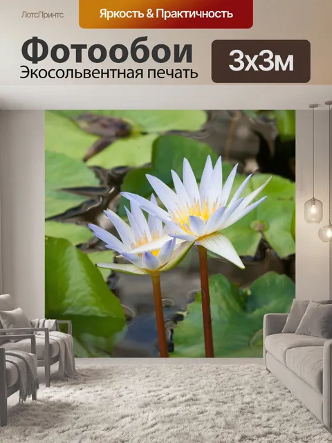 Фотообои Водяные лилии