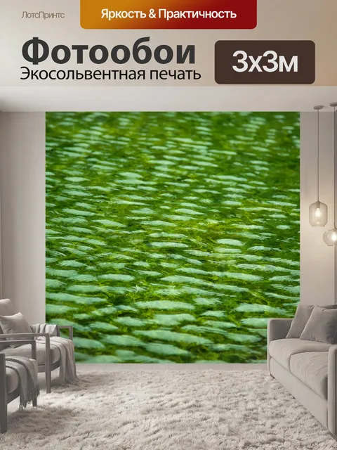 Фотообои Вода фона