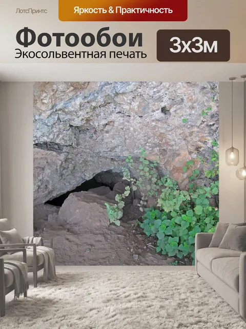 Фотообои зеленая растительность при входе в пещер