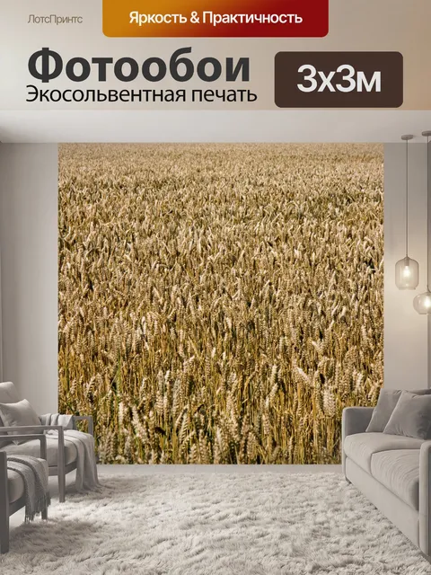 Фотообои Пшеница фона