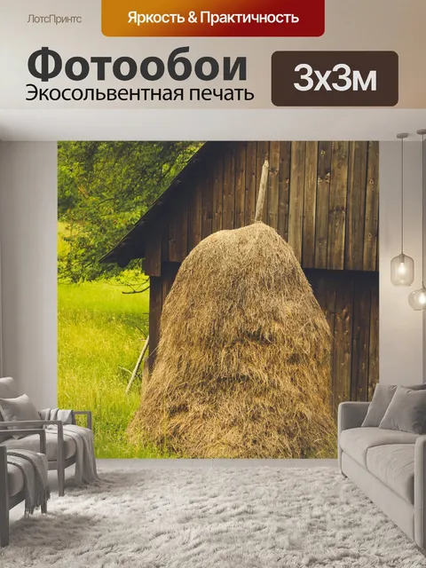 Фотообои Старая модная сена