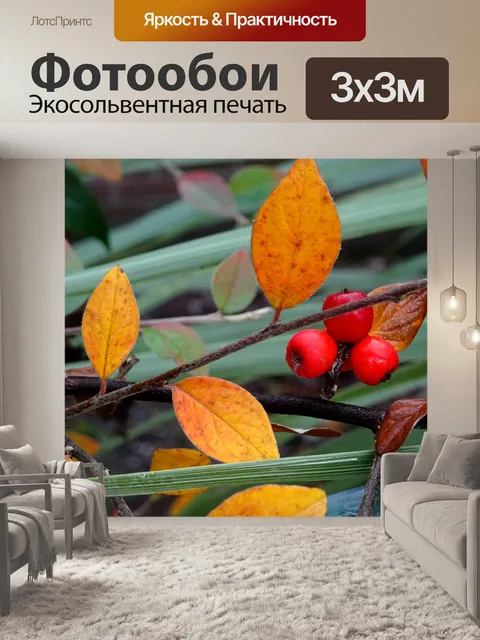 Фотообои Ветка ветви дерева с красными ягодами