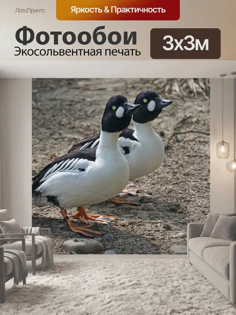 Фотообои Золотая утка