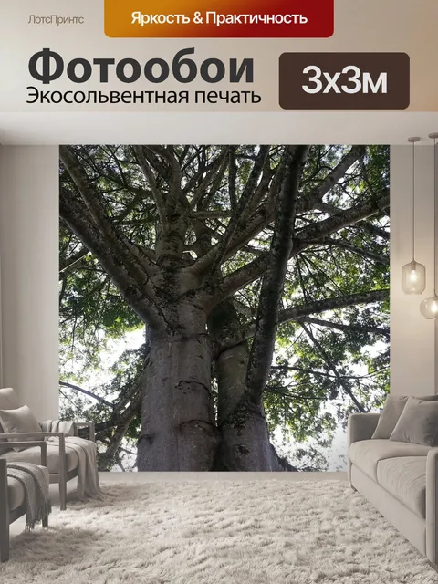Фотообои Природа