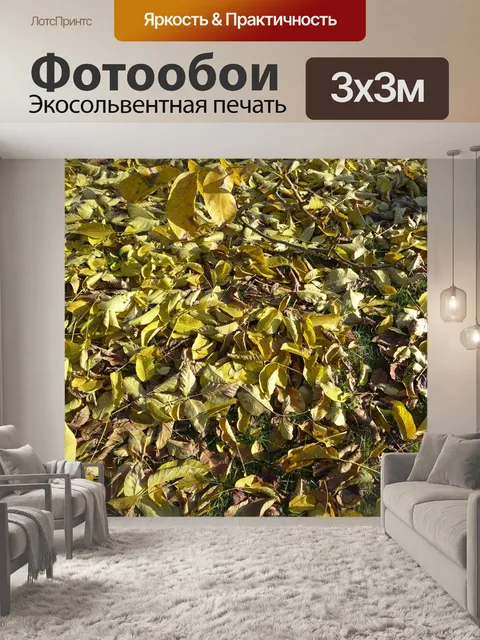 Фотообои Осень