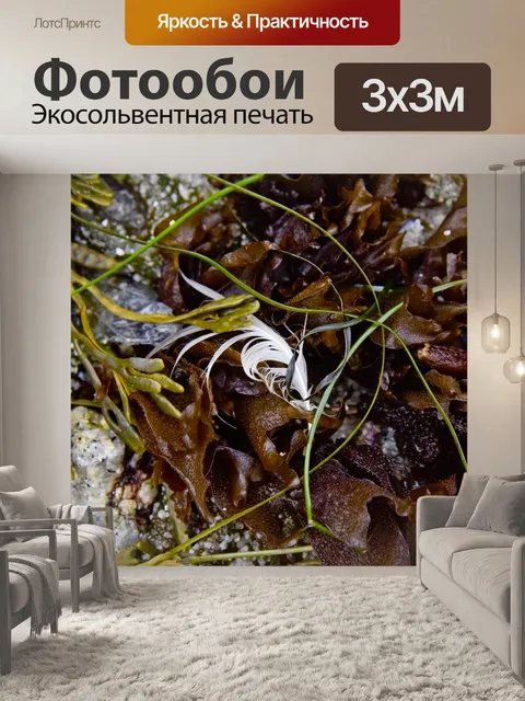 Фотообои Океан Натюрморт