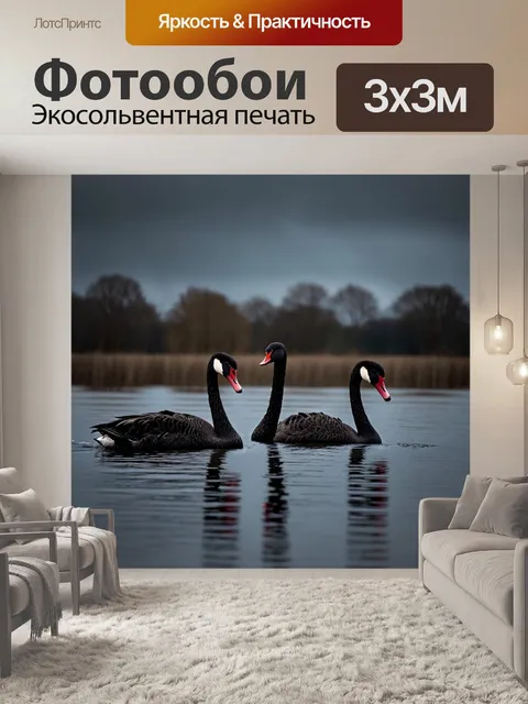 Фотообои природа в стиле готический, черные лебеди, плывущие по спокойной темной воде, под мрачным небом