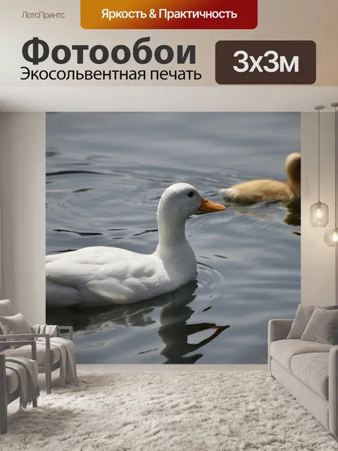 Фотообои Белая утка
