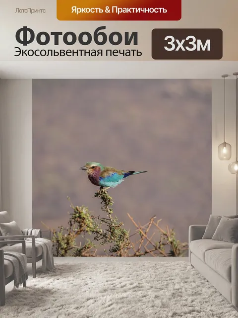 Фотообои Вилка колодка