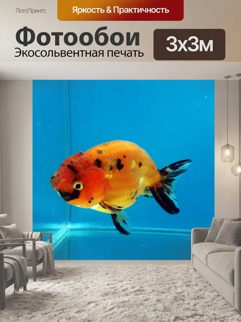 Фотообои золотой рыбке