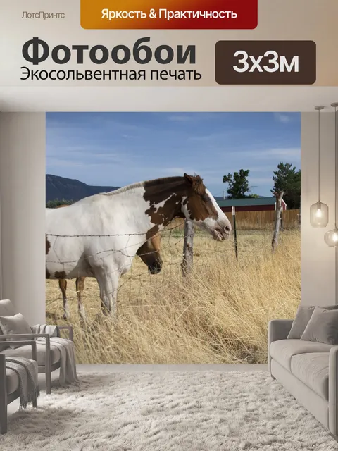 Фотообои Лошади