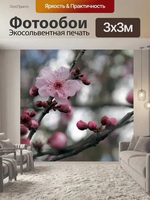 Фотообои Сакура