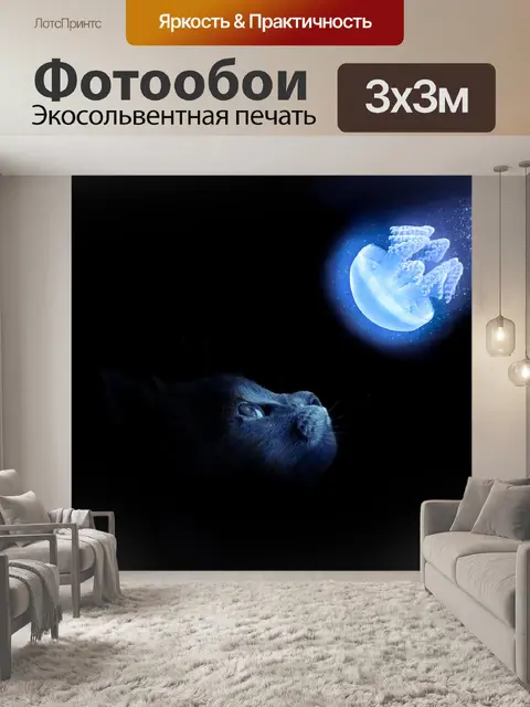 Фотообои Кот