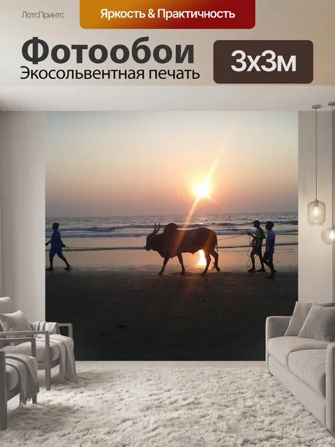 Фотообои Бык