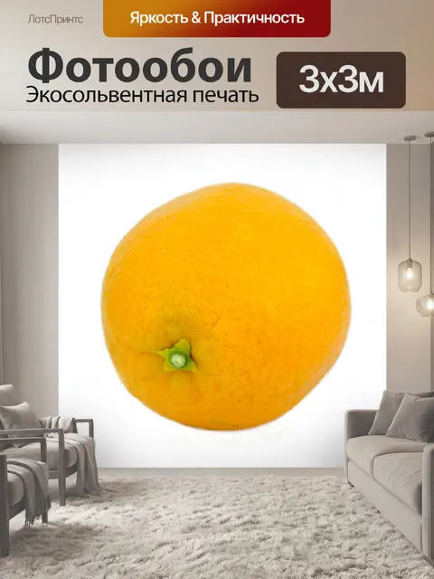 Фотообои Изолированные Оранжевый