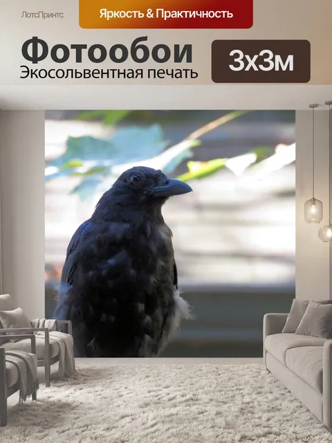 Фотообои ворона 11