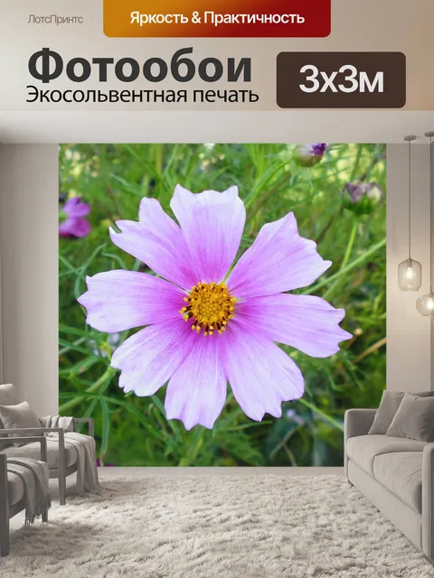 Фотообои Деревня