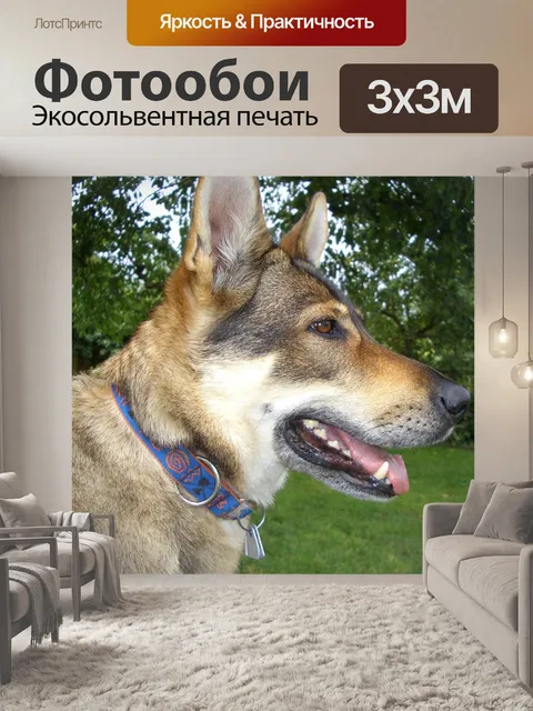Фотообои Чехословацкий