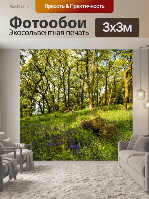 Фотообои Зеленый лес