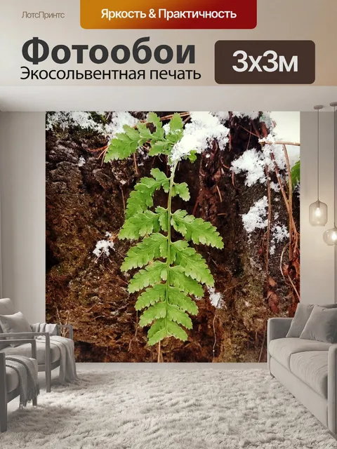 Фотообои Лес