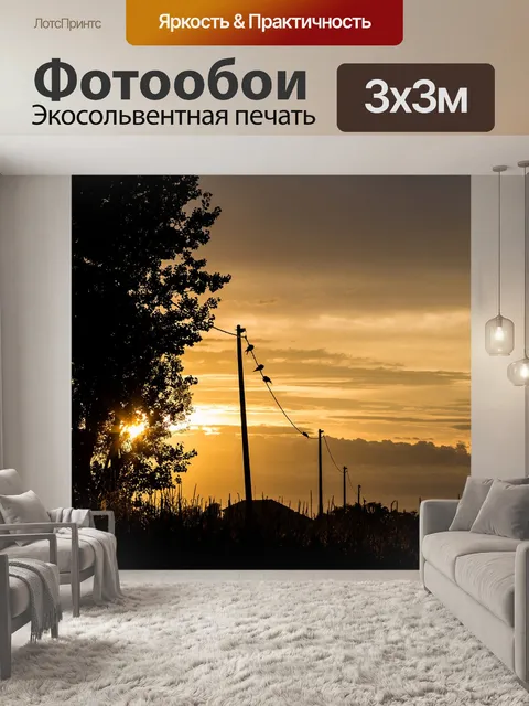 Фотообои Птицы