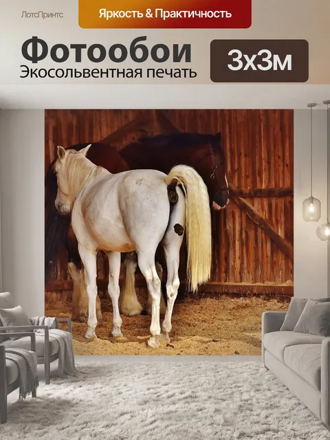 Фотообои Лошади
