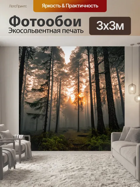 Фотообои туман в стиле стикер, представляющие загадочный лес на закате с туманом, пронизывающим деревья