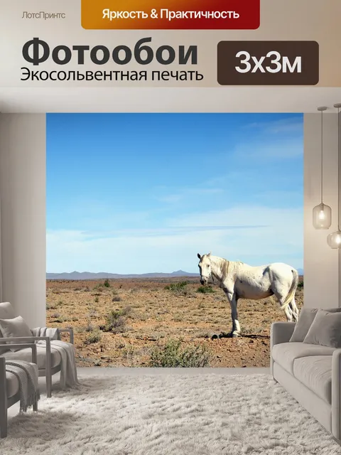 Фотообои Лошадь