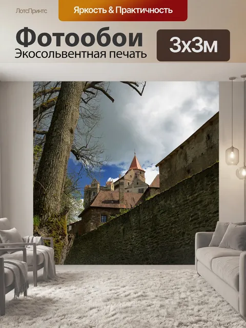 Фотообои Ночевка