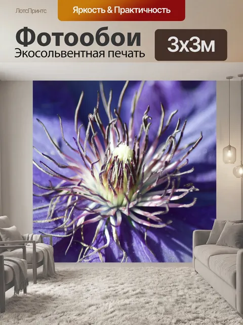 Фотообои Макросъемка