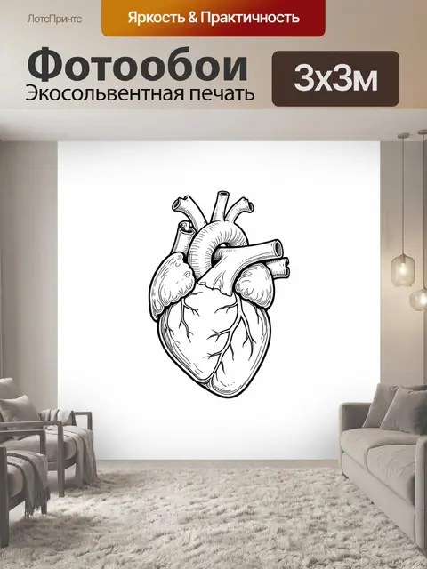 Фотообои Анатомическое сердце в графике