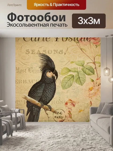 Фотообои Винтажная открытка с черным какаду