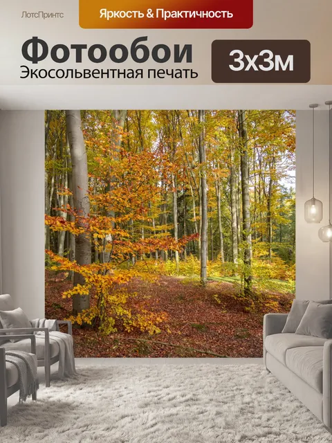 Фотообои Осенний лес