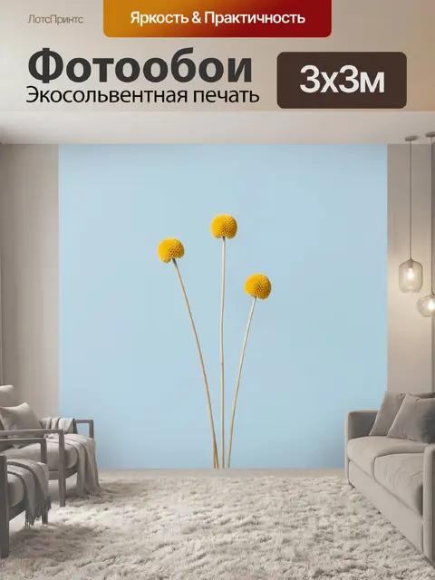 Фотообои Три желтых шаровидных цветка