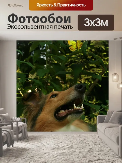 Фотообои Млекопитающее