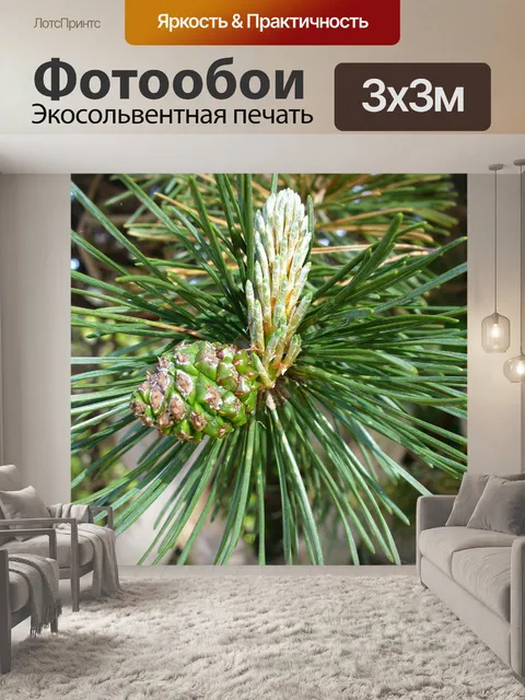 Фотообои Челюсть