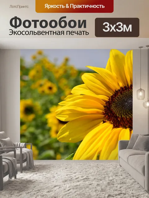 Фотообои Подсолнухи