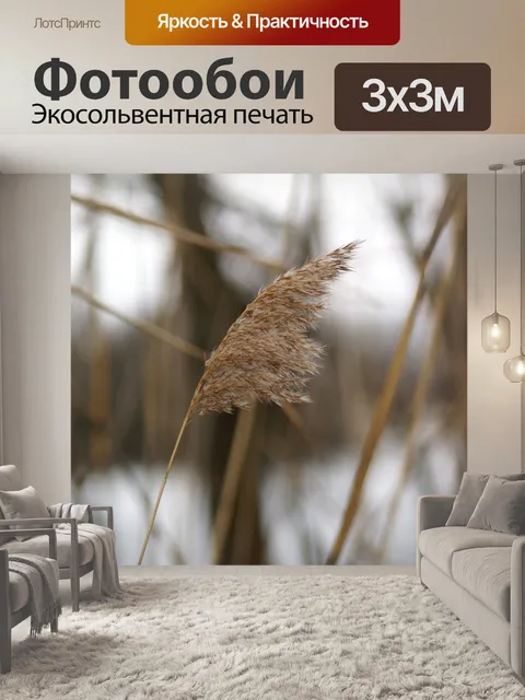 Фотообои Тростник