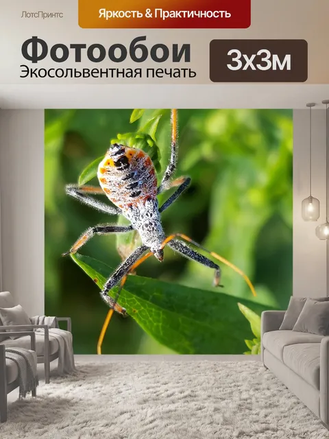 Фотообои Колесо ошибка на зеленом листе крупным п