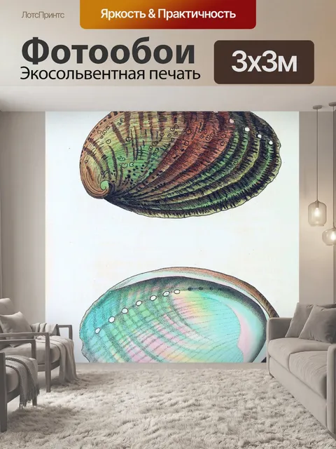 Фотообои Ракушка старинное искусство старый