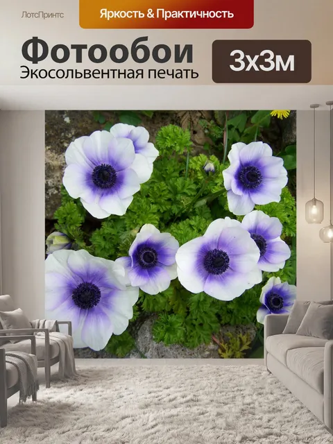 Фотообои Бриз роза