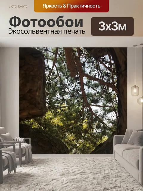 Фотообои Дерево