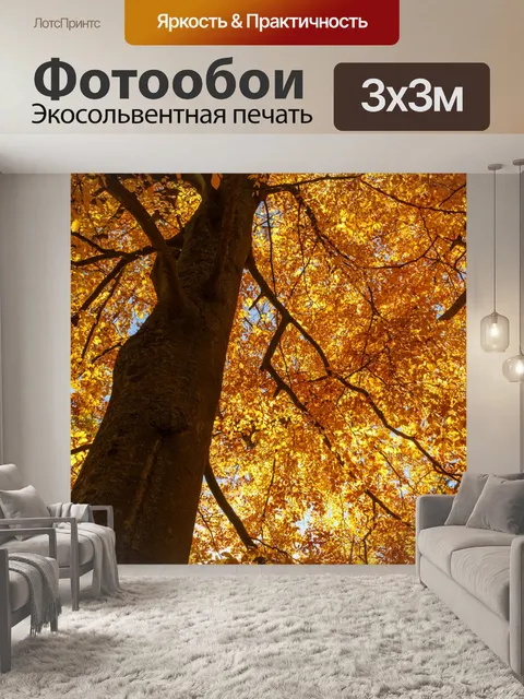 Фотообои Бук осенью