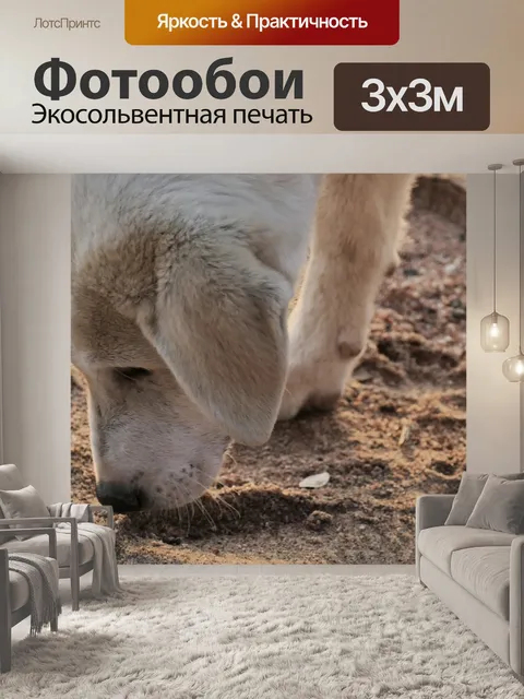 Фотообои Белая собака