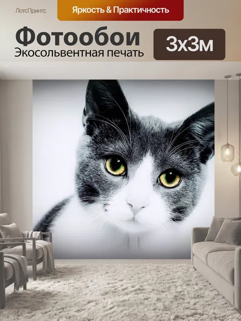 Фотообои Кошка