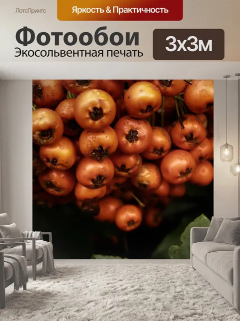Фотообои Ягоды рябины