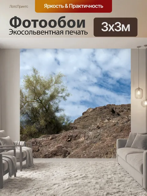 Фотообои Кисть на пустынной горе