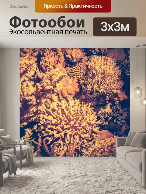 Фотообои Различные кораллы